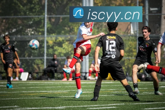 华体网体育官网发展历程