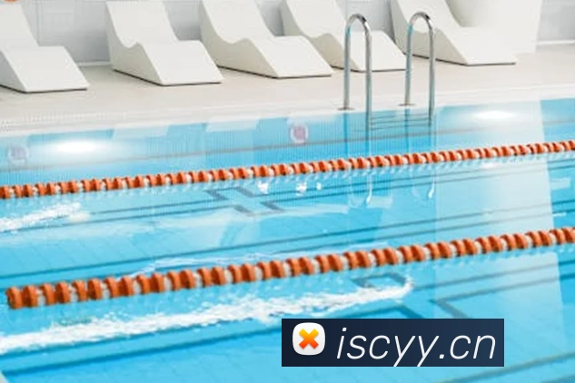 朱婷欧冠排球直播今晚开打 关注状态调整与球队晋级前景